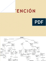 Atención: concepto, tipos y bases neuropsicológicas