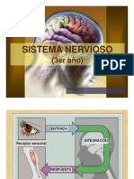 Sistema nervioso central: cerebro, tronco encefálico y médula espinal