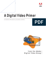 A Digital Video Primer