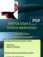 Histologiatejidonervioso-100222235234-No Borra