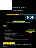 Presentación Bancos Forrajeros