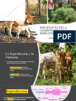 Alimentación Vs Reproducción 2