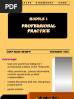 Professional Practice: Cdep Basic Review February 2005