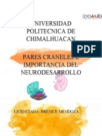 Nervios Craneales y Neurodesarrolo