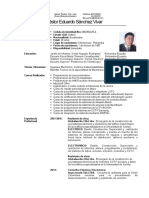 Curriculum Vitae Sanchez Nestor