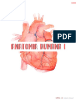 Anatomia Humana - 1º Semestre - medicina Mogi