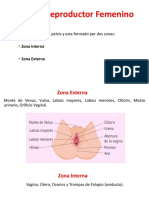 Sistema Reproductor Femenino