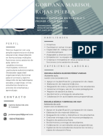 Curriculum Vitae Actualizado