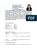 Curriculum Vitae Trabajo