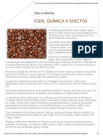 El Cafe Origen Quimica y Efectos