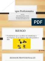 Riesgos Profesionales