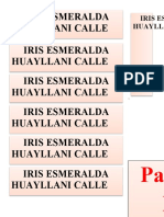Iris Esmeralda Huayllani Calle Iris Esmeralda Huayllani Calle