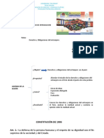 Derechos y Obligaciones Delos Extranjeros