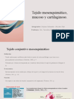 Tejido Mesenquimático Mucoso y Cartilaginoso - Expo