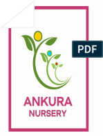 Ankura PINK