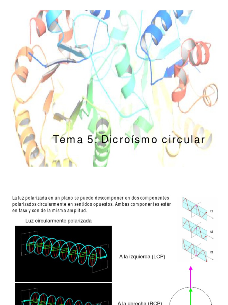 Tema 5 Dicroísmo Circular PDF Polarización (ondas) Chiralidad