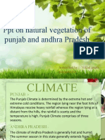 On Natuural Vegetation of Punjab and Andhra
