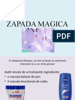 Zapada Magica (1)