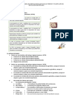 Prueba Bimestral Del Area de Ciencias Sociales para El Tercer y Cuarto Año de Educación Secundaria