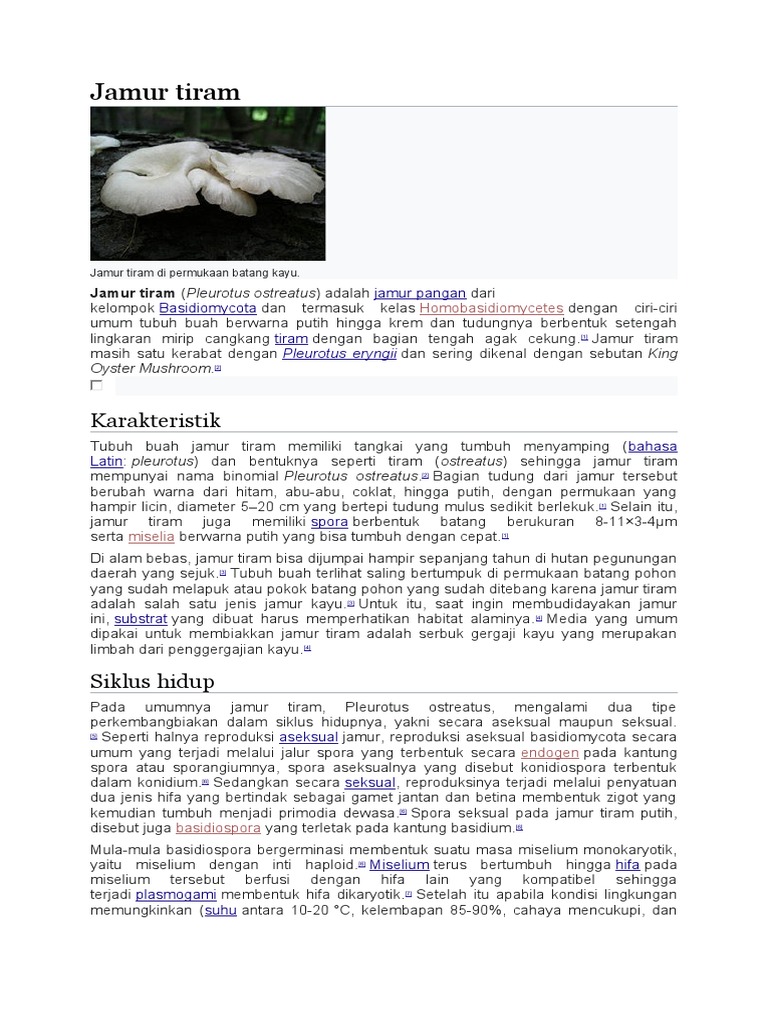 Jamur Tiram PDF