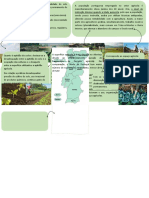 Agricultura - Esquema Geo A 11