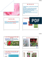 BÀI 6 HOA Đày Đ PDF Đã G P