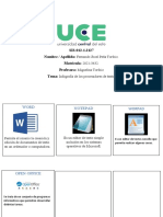 2 Tema, Infografia (Fernando Peña)