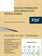 Formação e reparo ósseo em