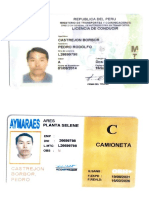 Licencia Pedro Castrejon