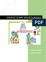 Bioseguridad Ensayo 1.0