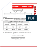 Los Adjetivos Determinativos LL