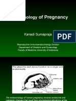 Kuliah Endocrinology of Pregnancy