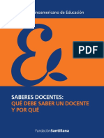 Saberes Docentes - Archivo-Terigi