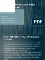 Pertumbuhan Sekunder Pada Batang