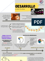 Neurodesarrollo VV