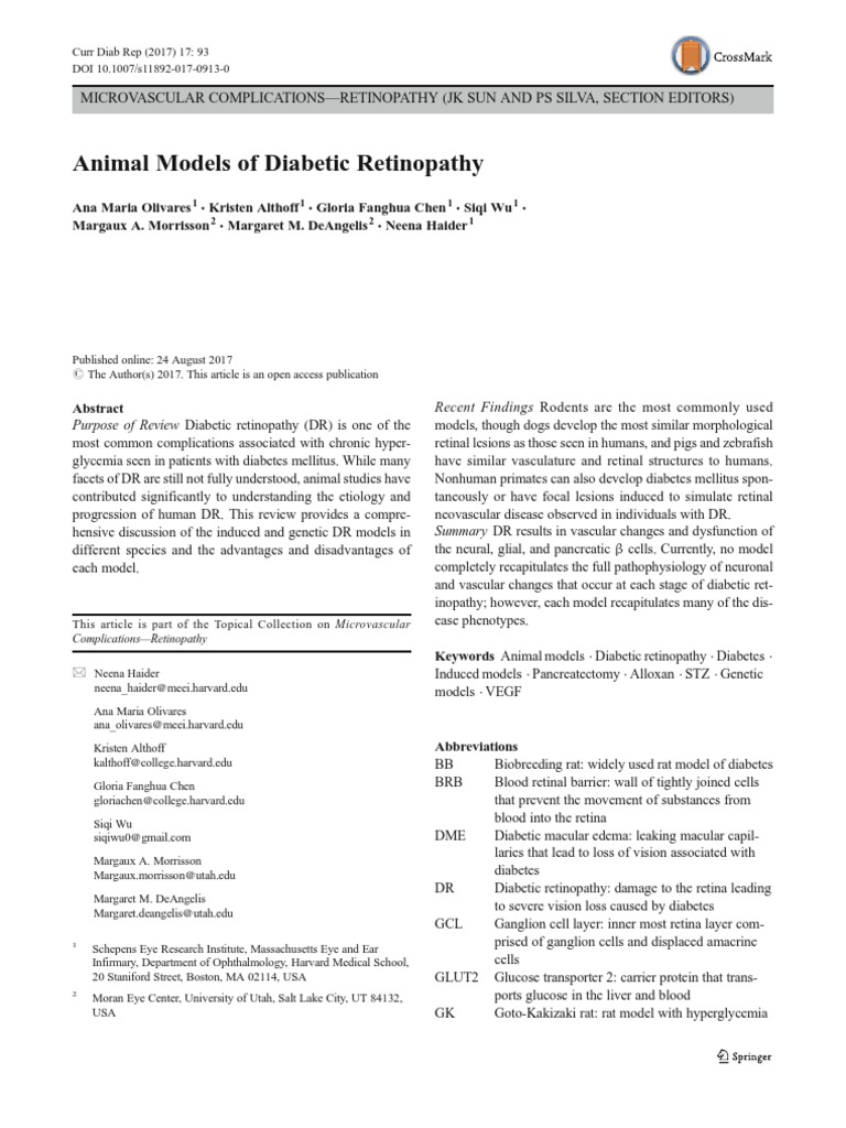 Animal Models of Diabetic Retinopathy PDF Retina Vascular
