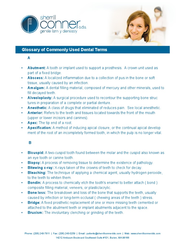 Glossary of Dental Terms PDF Human Tooth Periodontology