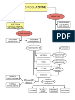 MAPPA SISTEMA CIRCOLATORIO