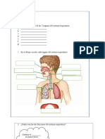 Práctica Ciencias Respiratorio N (Recuperado Automáticamente)