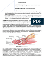 Sistema Digestivo en PDF
