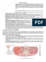 Sistema Urinario EN PDF