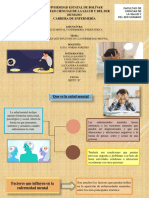 Grupo 3. Factores Que Incluyen en La Enfermedad Mental