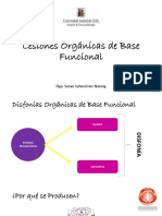 Lesiones Organicasde Base Funcional 2016