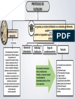 Protoclo de Flotacion