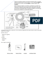 cuerpo humano