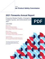2021 Fireworks Annual Report