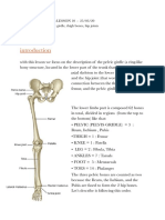 ANATOMY I 25.03.20 I Pelvic Girdle, Thigh Bones, Hip Joints