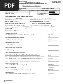 Element PPP Forgiveness App Redacted