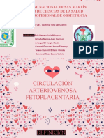 Circulación Fetal