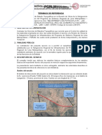 Terminos de Referencia Estudios Topograficos